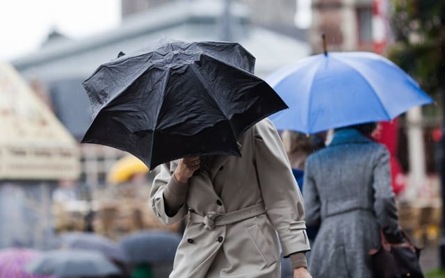 Thunderstorm watch issued for cyclone-hit parts of North Island