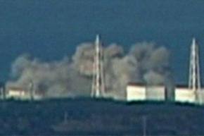 No need to panic over nuclear fallout: expert
