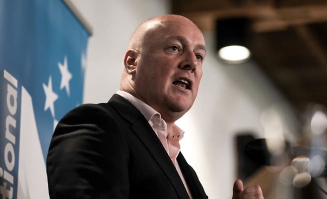 Luxon wants broad inquiry into sacked minister Stuart Nash's correspondence