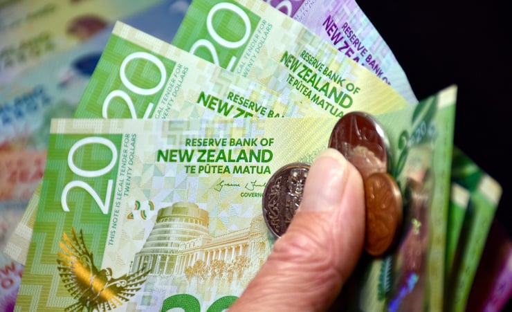 OCR hike a 'dangerous' approach that will cause 'immense pain' - economist