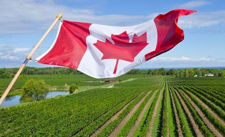 Canada Needs 30,000 New Immigrants In Agri Sector: Report
