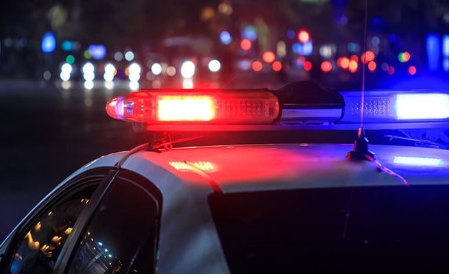 Indian killed in South Island car crash