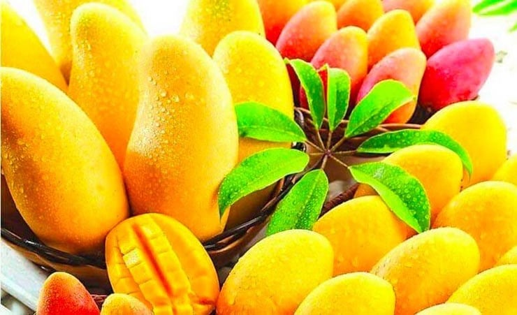 Bananas Over Mango