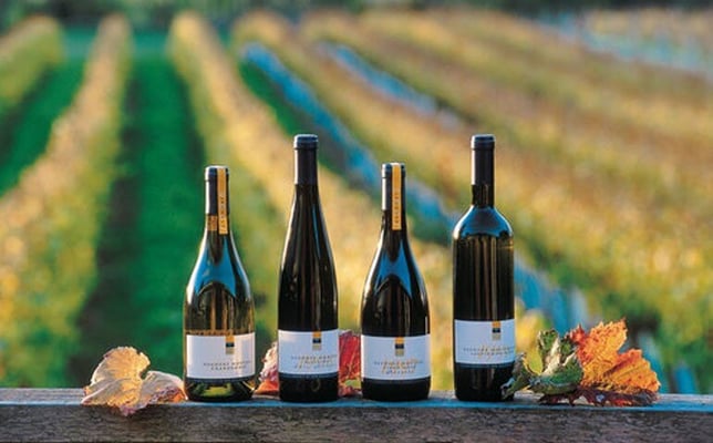 Exploring the alluring wine regions of New Zealand