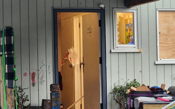 Person injured after group using bats damage Auckland house