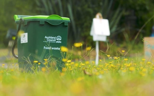 Auckland's new food waste bin scheme causes a stink