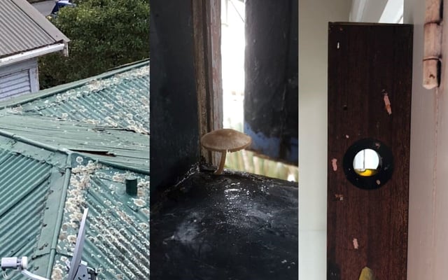 Negligent landlords driving some tenants out, others into anxiety