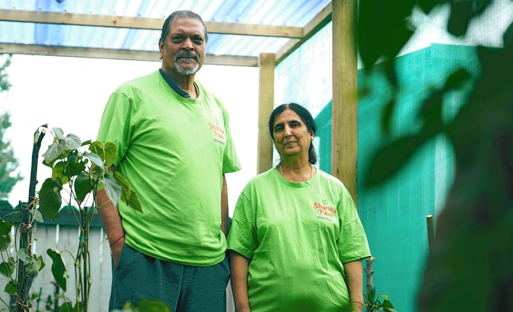 Retired accountant in search of betel bliss in Aotearoa