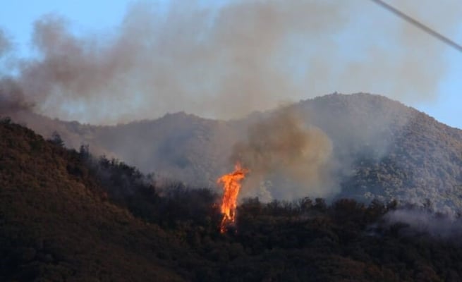 Wildfire season could kick off earlier this year, Fire and Emergency warns