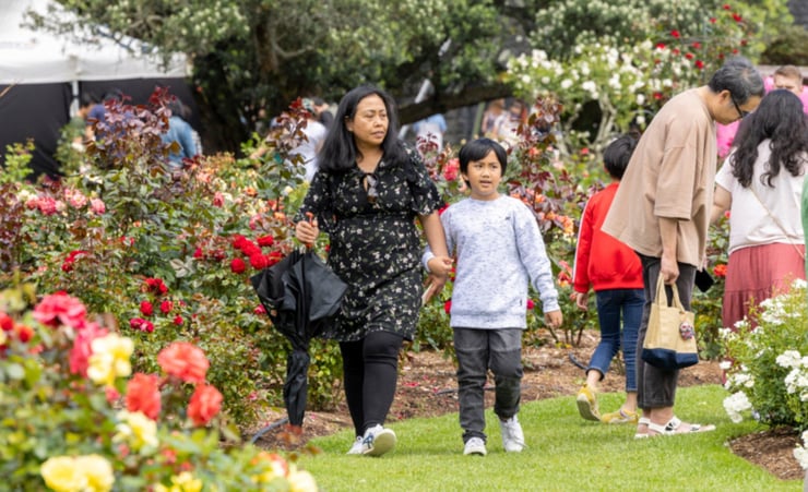 Plant swaps to quiet room: New attractions at Parnell Festival of Roses