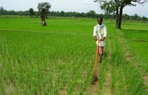 Is India's food system failing?