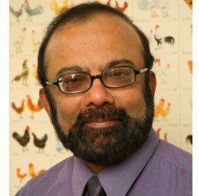 Top US award for NZ scientist