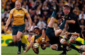 Wake-up call for the All Blacks