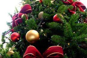 Beat the challenges of the silly season