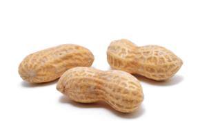 Food Allergy