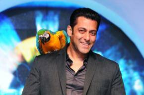 Bigg Boss 6 contestants revealed?