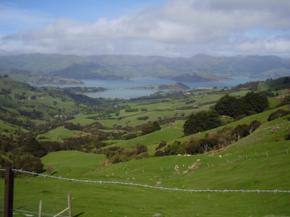 Picturesque New Zealand: islands that delight