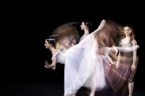 Whats On: Dance, drama and more