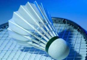 Start 2013 with Badminton