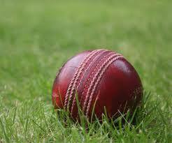 Young cricketers win sports scholarships