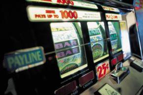 How many pokie venues should Auckland have?