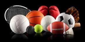 Sport and the Indian Community in New Zealand