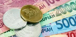 Indian diaspora business engagement meets slated in Indonesia
