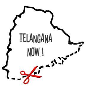 Telangana fallout: Assam turns violent