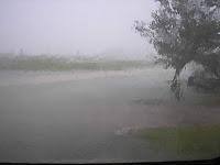Significant rainfall expected from midday : Auckland Civil Defence