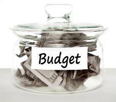 Council adopts budget for 2014