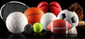 NZ offers sports scholarships for Indian citizens