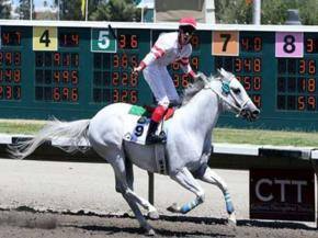 Indian jockey wins Poland's Ladies World Championship