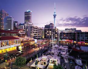 ARMS to hold series workshops for newcomers to NZ