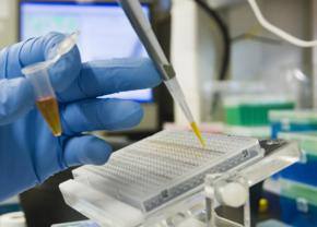 India needs to invest in cancer, diabetes research: US scientist