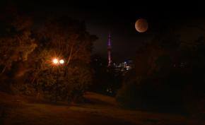 Blood moon rises on Auckland Skies