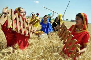 Vaisakhi: Harvesting the labour of love