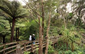 Aotea Conservation Park opens for Public