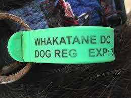 It's dog re-registration time