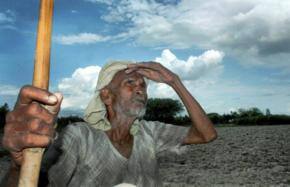 Punjab sets up panel to look into farmer suicides