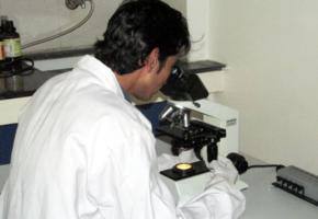 Delhi to get five mega labs by 2015-end