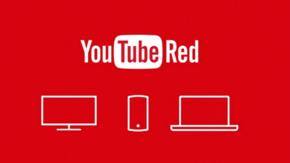 Tech round-up : what’s new and trending