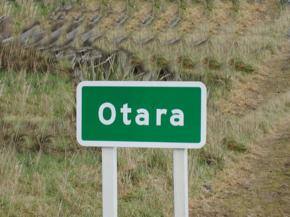 Celebrating 50 years of community development in Otara