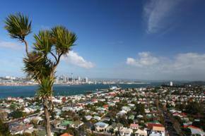 Reached the peak of the housing market?