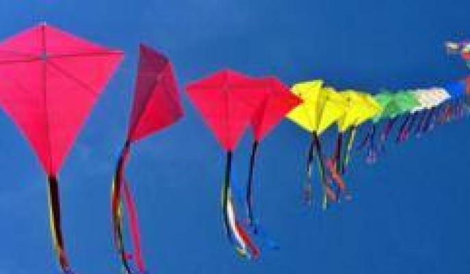 Makara Sankranti—a multi-cultural sun festival