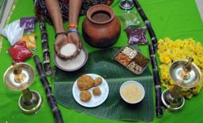 Pongal: celebrating the journey of the sun