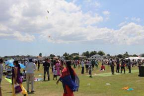 Kite festival takes over Auckland