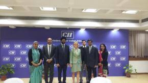Collaboration brings NZ-India business closer