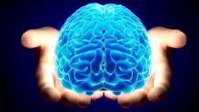 Know how human brains 'slack' with age