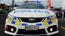 A fallen tree scare at a Childcare center in Auckland