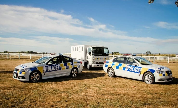 Police synthetic cannabis operation underway in Avondale, six arrested
